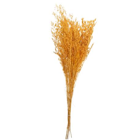 5c7bc1c5-da3e-41dc-b04a-11e015332f86